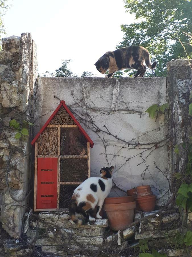 Au Chat Perche Mareil-sur-Mauldre Eksteriør billede