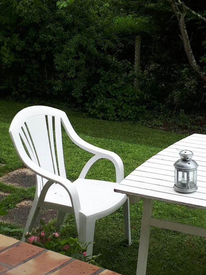 Au Chat Perche Mareil-sur-Mauldre Eksteriør billede
